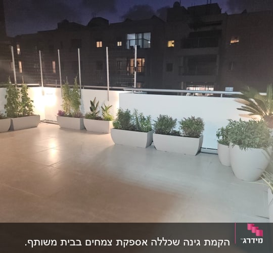עציצים עם צמחים על מרפסת בלילה